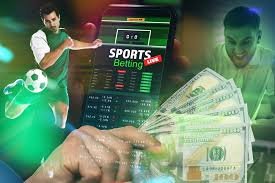 Experience the Thrill of Betting with Baji Live -1686299763 Experience the Thrill of Betting with Baji Live -1686299763