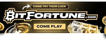 Ensuring Wallet Safety in Online Betting A Comprehensive Guide