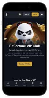 Rally Betting with Crypto Exploring New Horizons