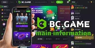 Explore the Thrills of BC.Game Online Casino Platform