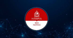 Understanding the Role of Interpol Defense Lawyers 1339494707